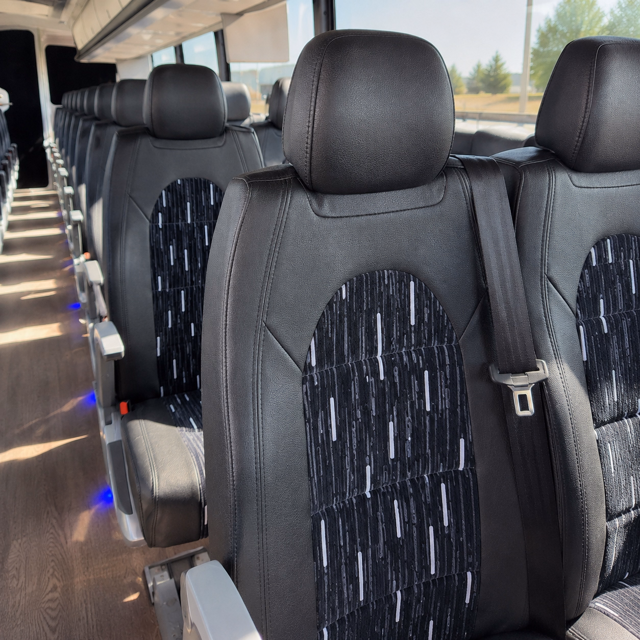 school bus rentals for heard museum and children s museum of phoenix visits